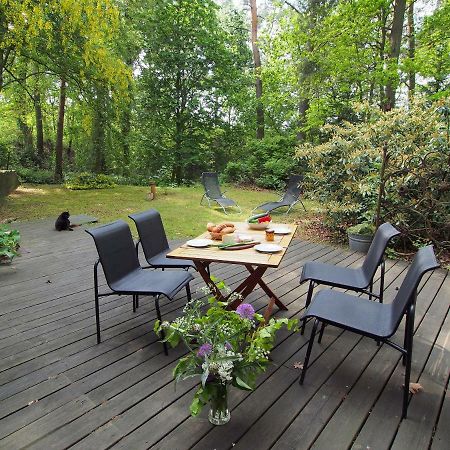 Ferienwohnung Am Duemmer See Dummer Екстер'єр фото