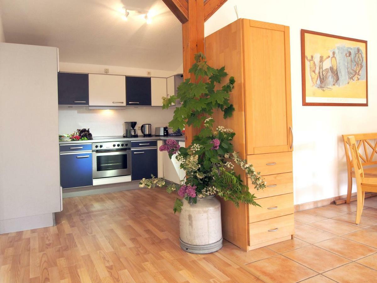 Ferienwohnung Am Duemmer See Dummer Екстер'єр фото