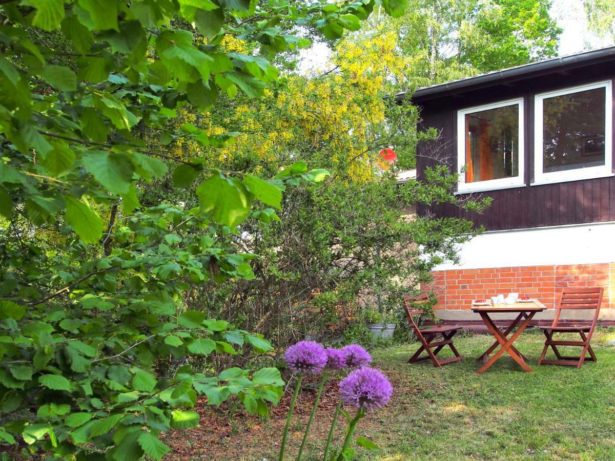 Ferienwohnung Am Duemmer See Dummer Екстер'єр фото