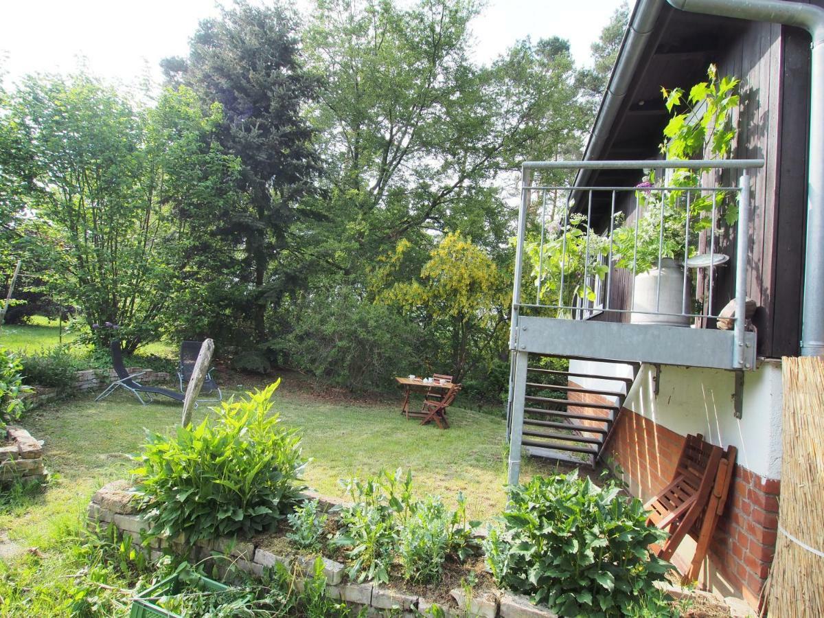 Ferienwohnung Am Duemmer See Dummer Екстер'єр фото